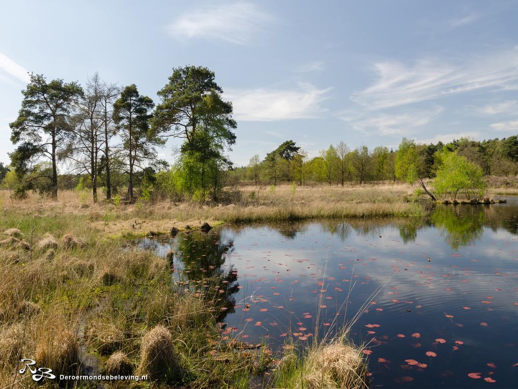 De Roermondse Beleving Bed & Breakfast Bagian luar foto